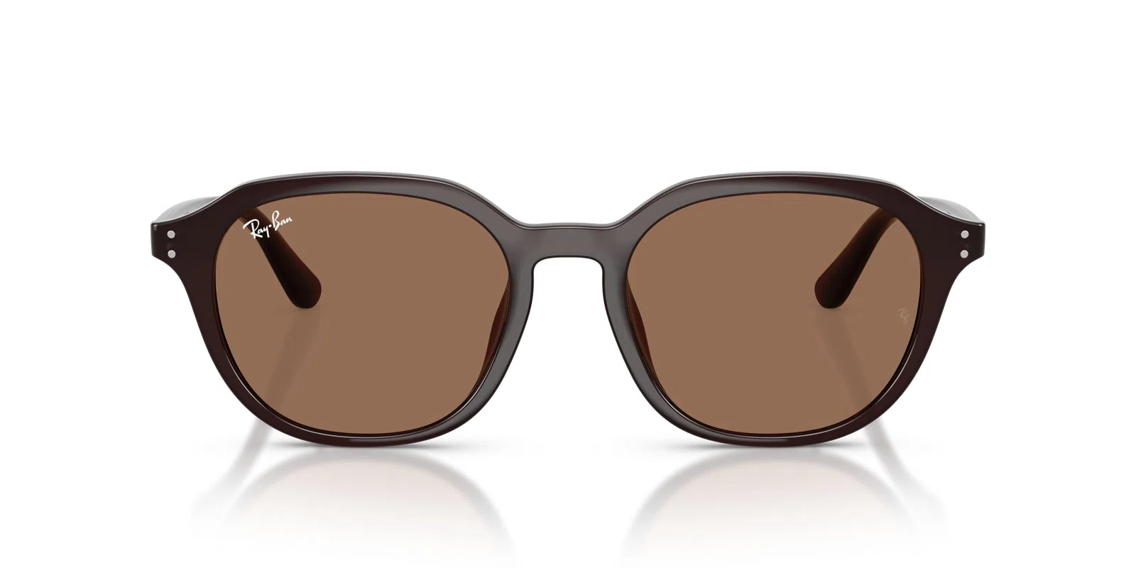 Ray-Ban 4459D Sunglasses - view 28